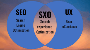 SEO expert kingoe.net